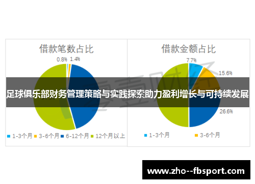 足球俱乐部财务管理策略与实践探索助力盈利增长与可持续发展