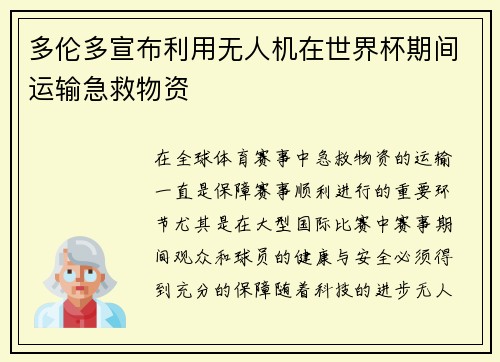 多伦多宣布利用无人机在世界杯期间运输急救物资