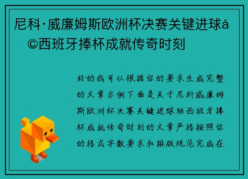 尼科·威廉姆斯欧洲杯决赛关键进球助西班牙捧杯成就传奇时刻